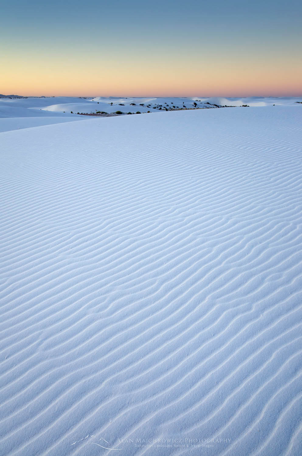 Ripple patterns in gypsum sand dunes, White Sands National Park New Mexico #57028