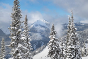 North Cascades Winter, Manning Provincial Park