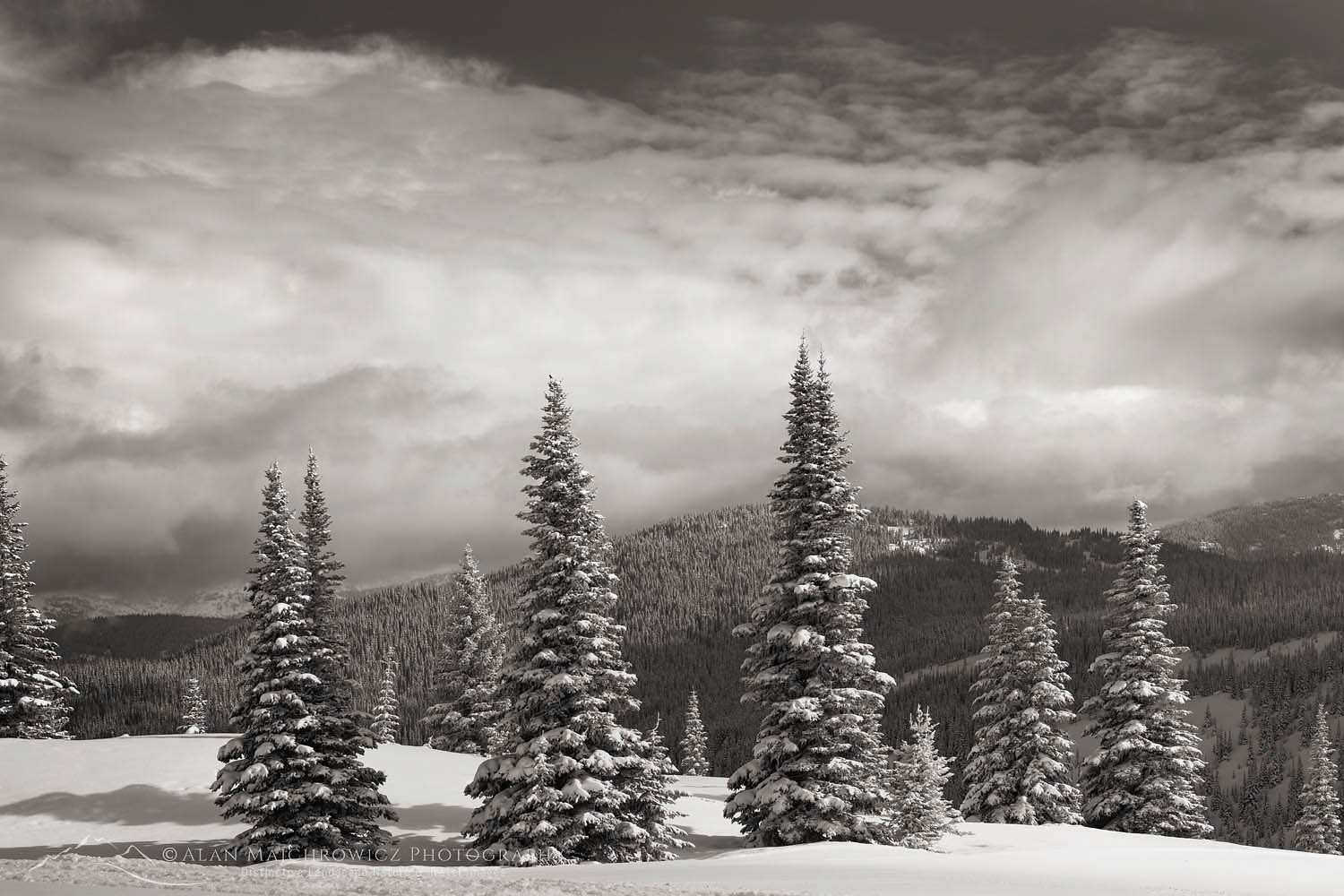North Cascades in fresh winter snow. Manning Provincial Park British Columbia #64777bw