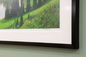 Fine Art Landscape and Nature Photography by Alan Majchrowicz Premium Quality Fine Art Prints available in TruLife Acrylic, Dye-Sublimation Metal, Giclee, and Canvas Wrap. Healthcare, Hospitality, Corporate Offices, and Residential