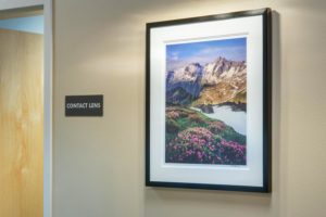 Mount Baker Vision Clinic Fine Art Installation