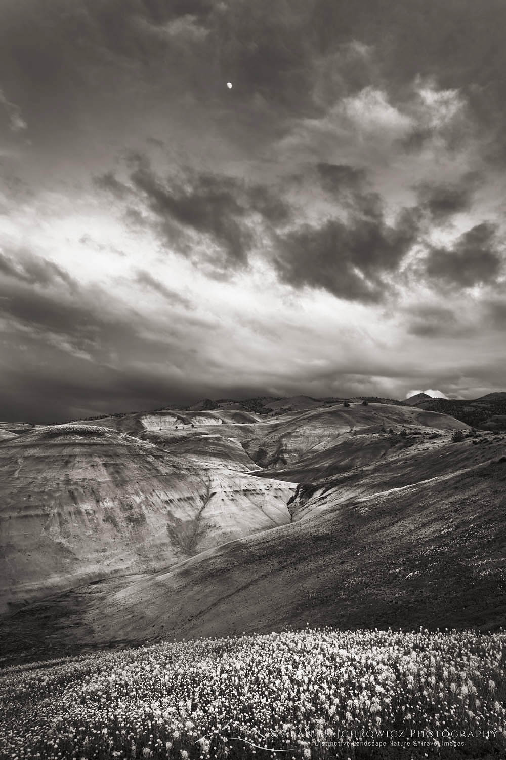 Painted Hills Unit of John Day Fossil Beds National Monument Oregon #65578bw