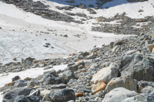 Upper Titcomb Basin, Bridger Wilderness, Wind River Range Wyoming
