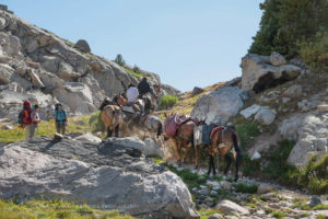 Horse packing Wind River range Wyoming