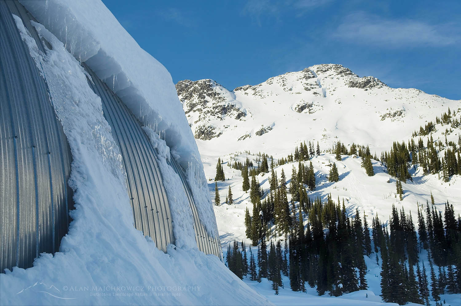 Wendy Thompson Hu Marriott Basin, Coast Mountains British Columbia #50369