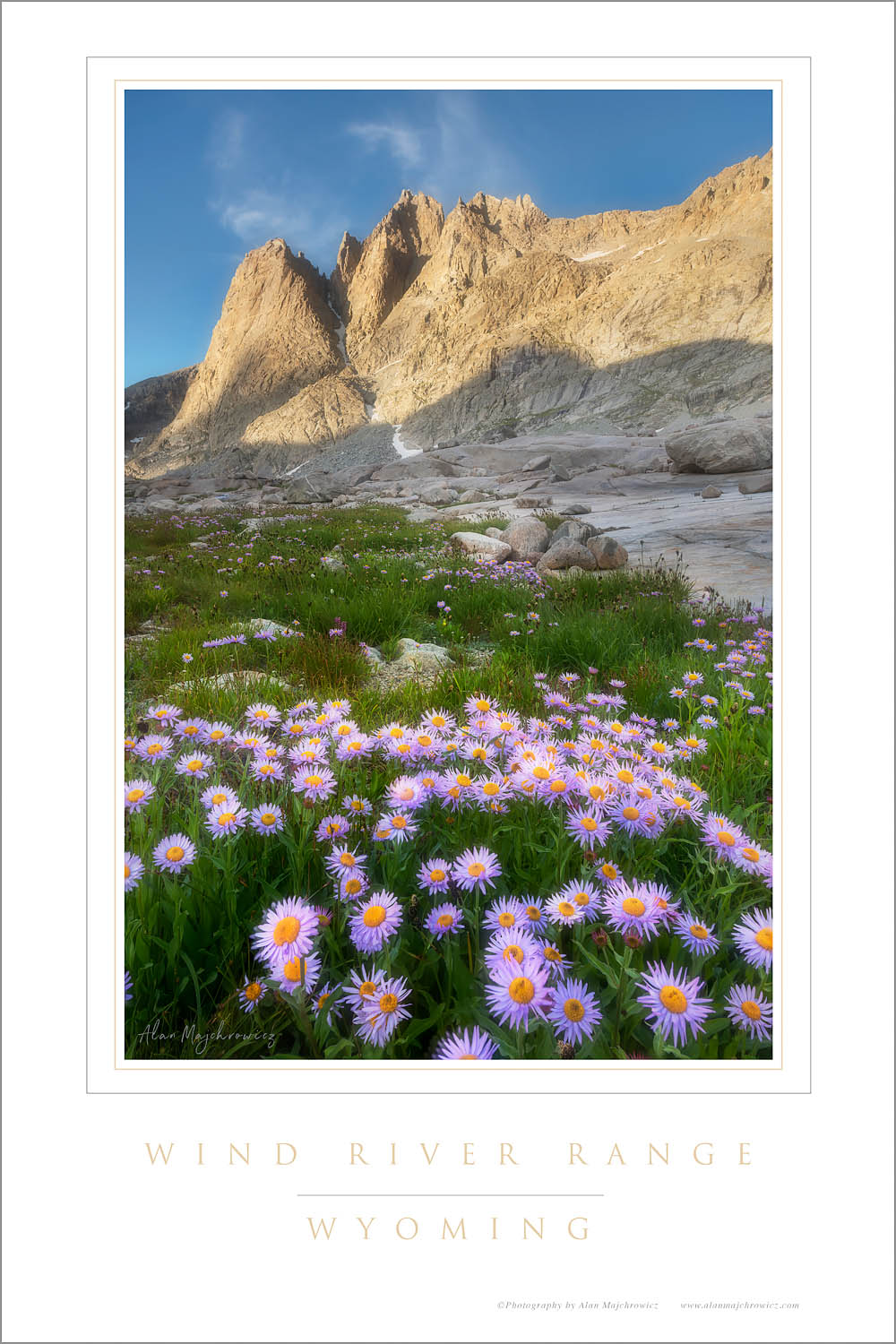 Mount Helen and field of purple Asters growing in Upper Titcomb Basin, Bridger Wilderness, Wind River Range Wyoming
