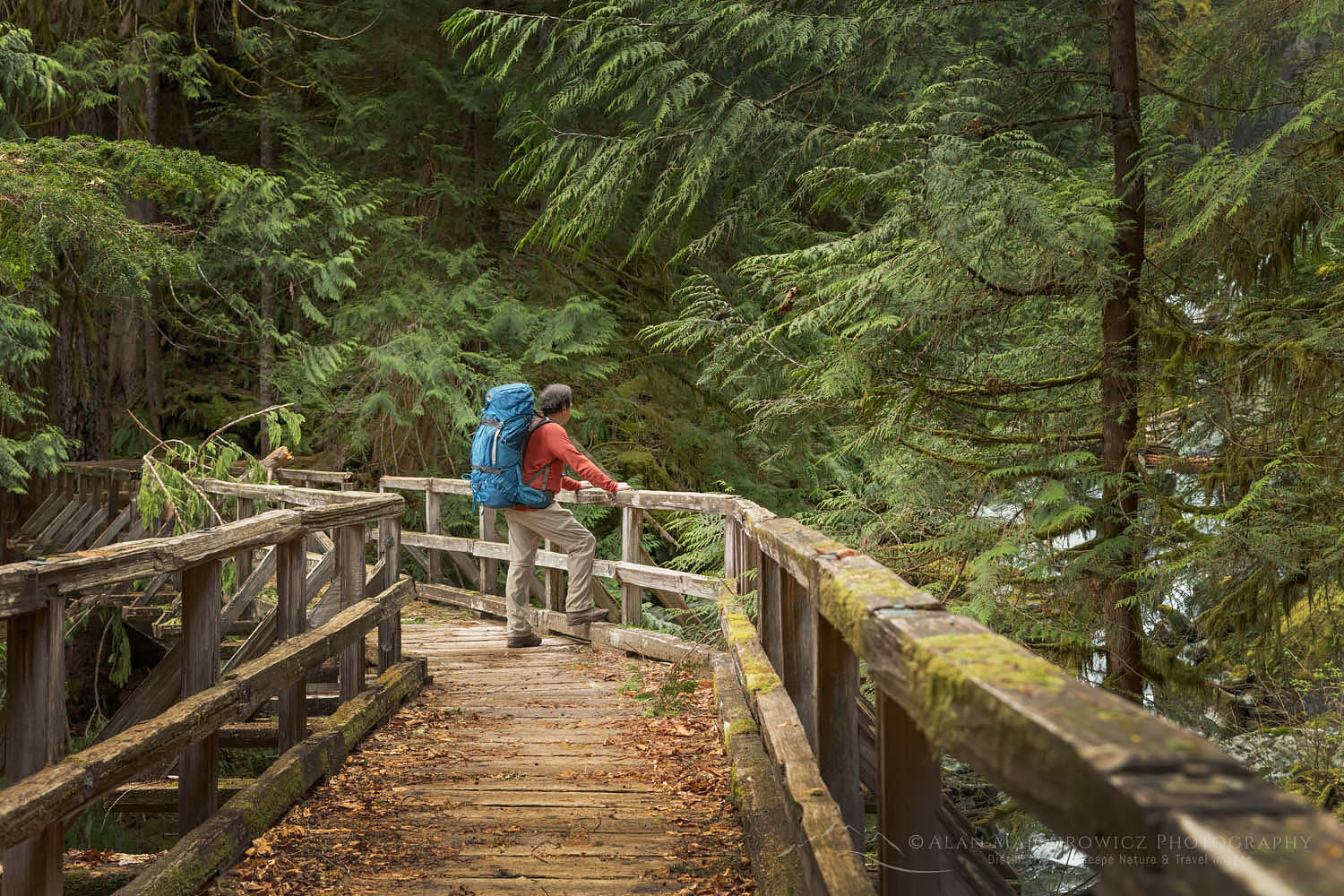 Backpacker on bridge over Hidden Creek Baker Lake Trail North Cascades #65027