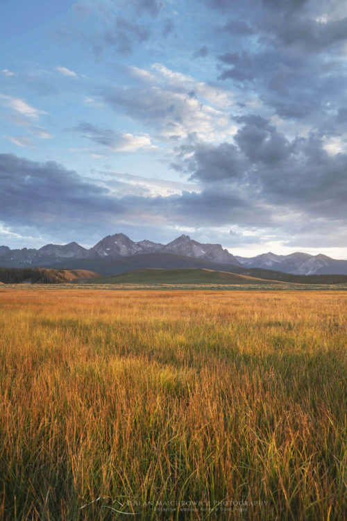Stanley Basin meadows. Sawtooth Mountains Idaho #65840