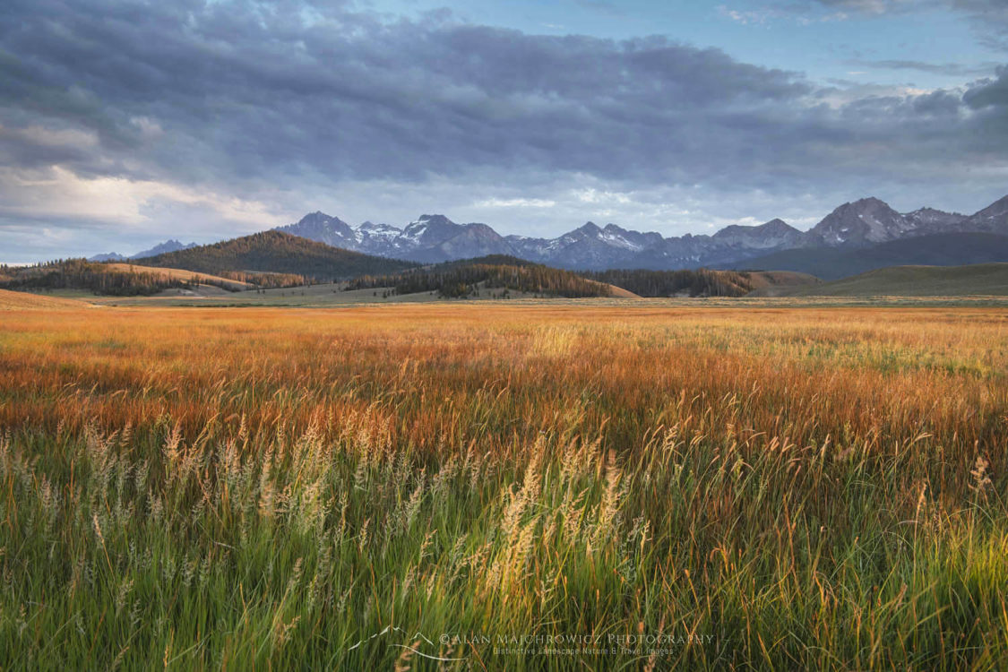 Stanley Basin meadows. Sawtooth Mountains Idaho