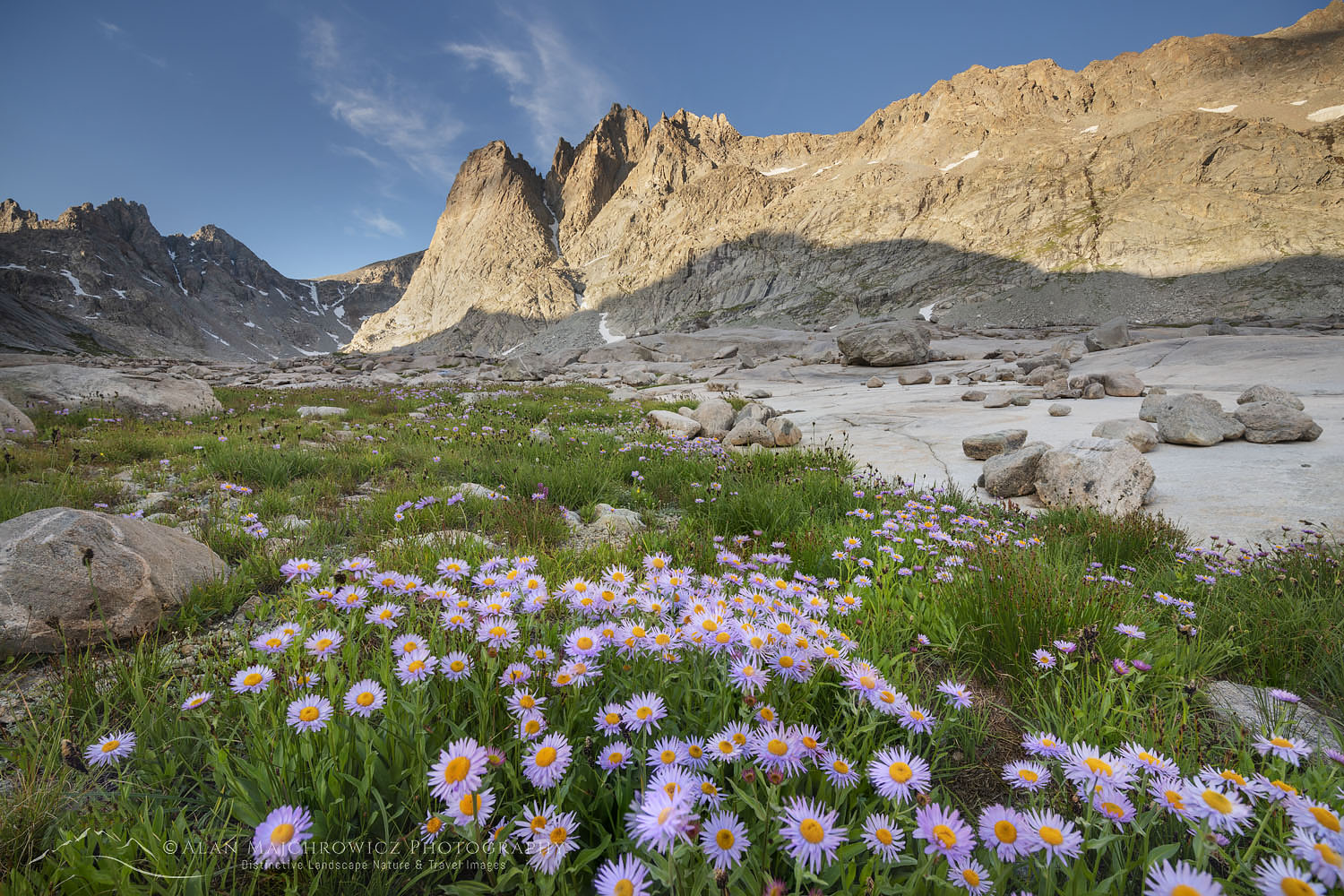Mount Helen amd field of purple Asters growing in Upper Titcomb Basin, Bridger Wilderness, Wind River Range Wyoming #66706
