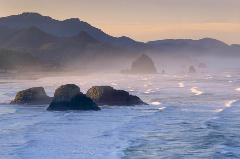 Cannon Beach from Ecola State Park Oregon - Alan Majchrowicz Photography