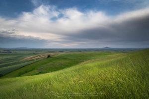 Palouse Washington
