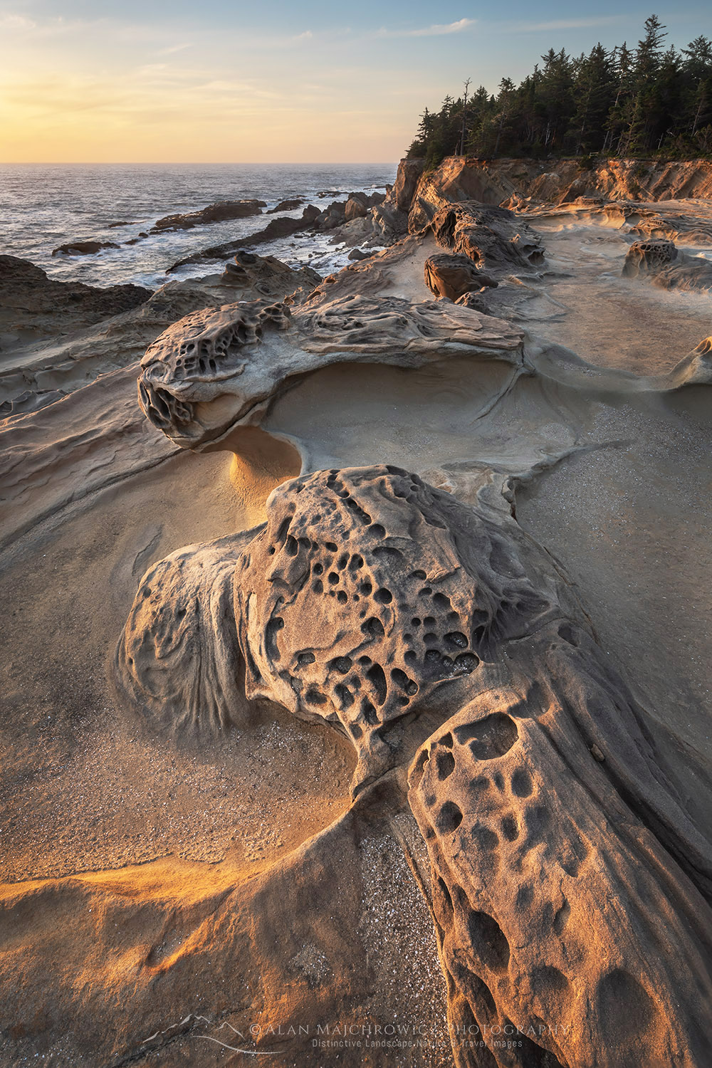 Eroded sandstone concretions and formations at Shore Acres State Park Oregon.
