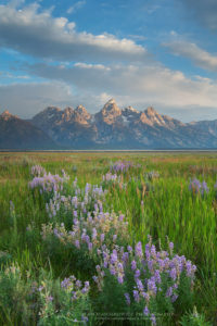 Grand Teton National Park Grand Teton National Park