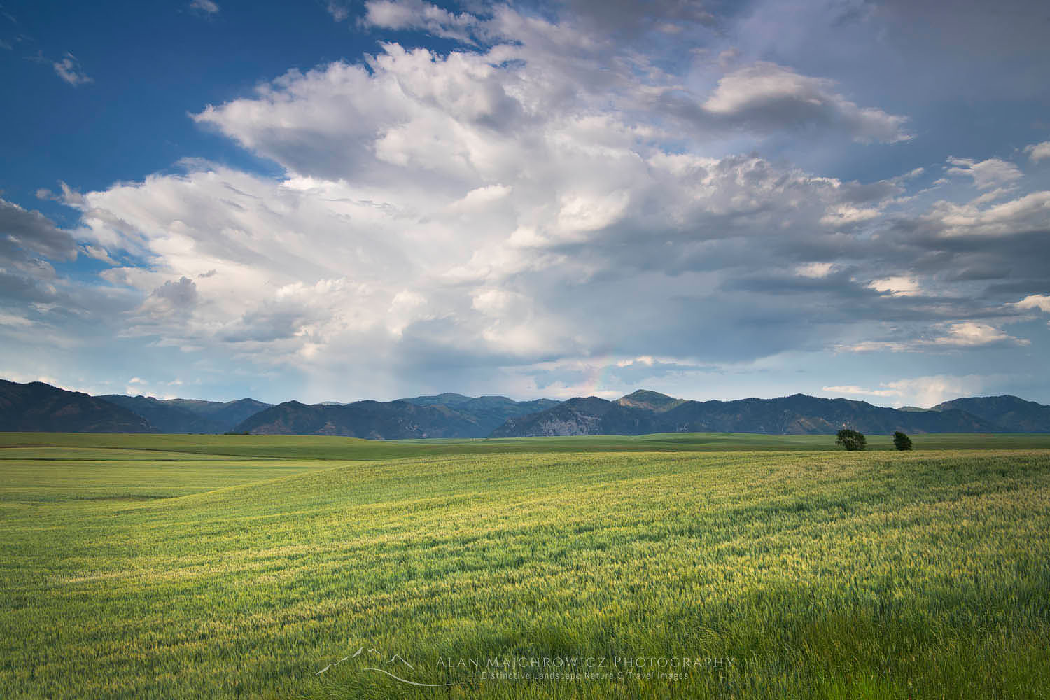 Idaho - Alan Majchrowicz Fine Art Landscape Photography