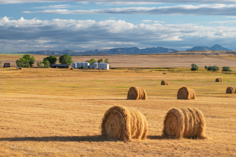 Hay Bales Montana Alan Majchrowicz Photography