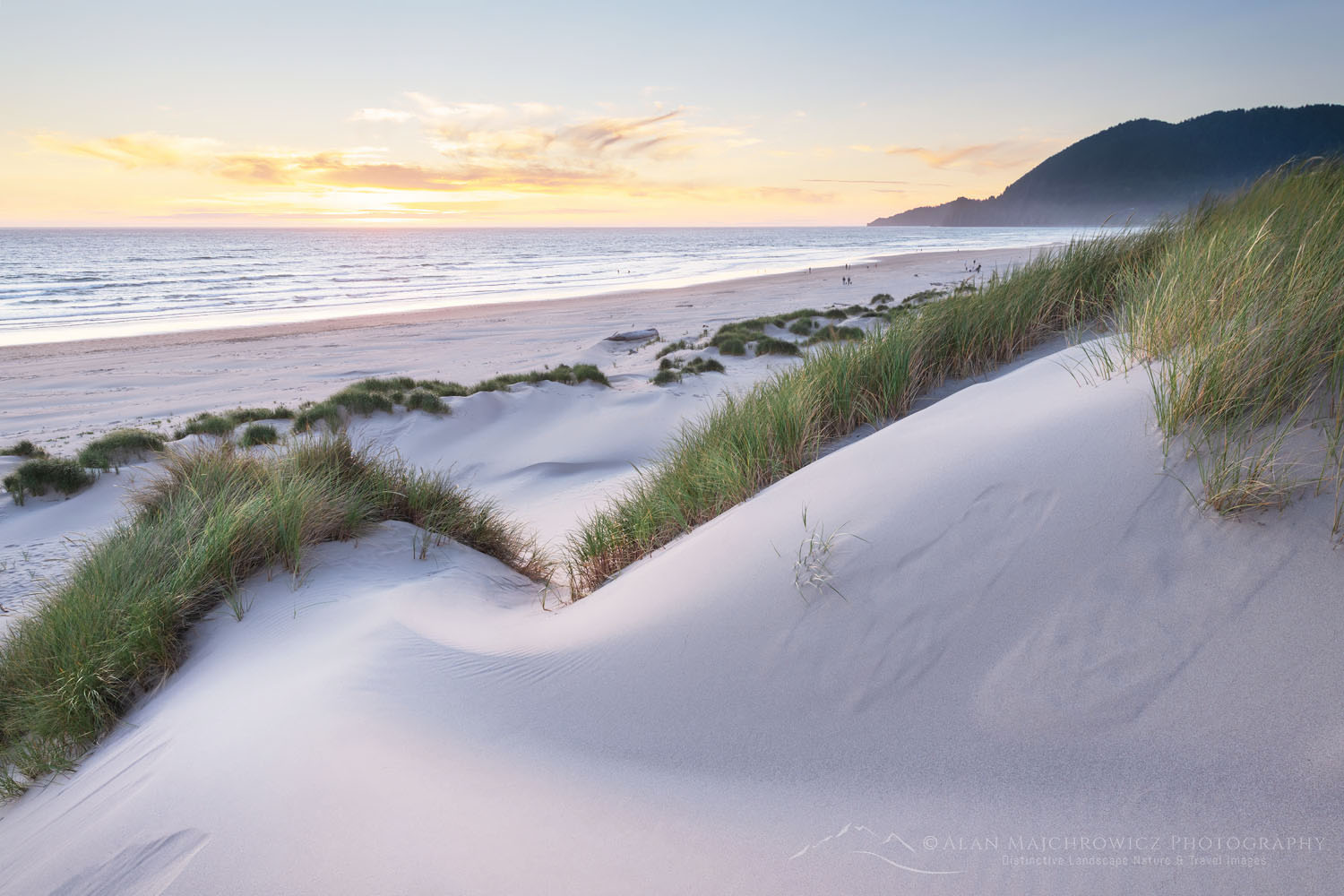 Nehalem State Park sunset, Oregon - Alan Majchrowicz