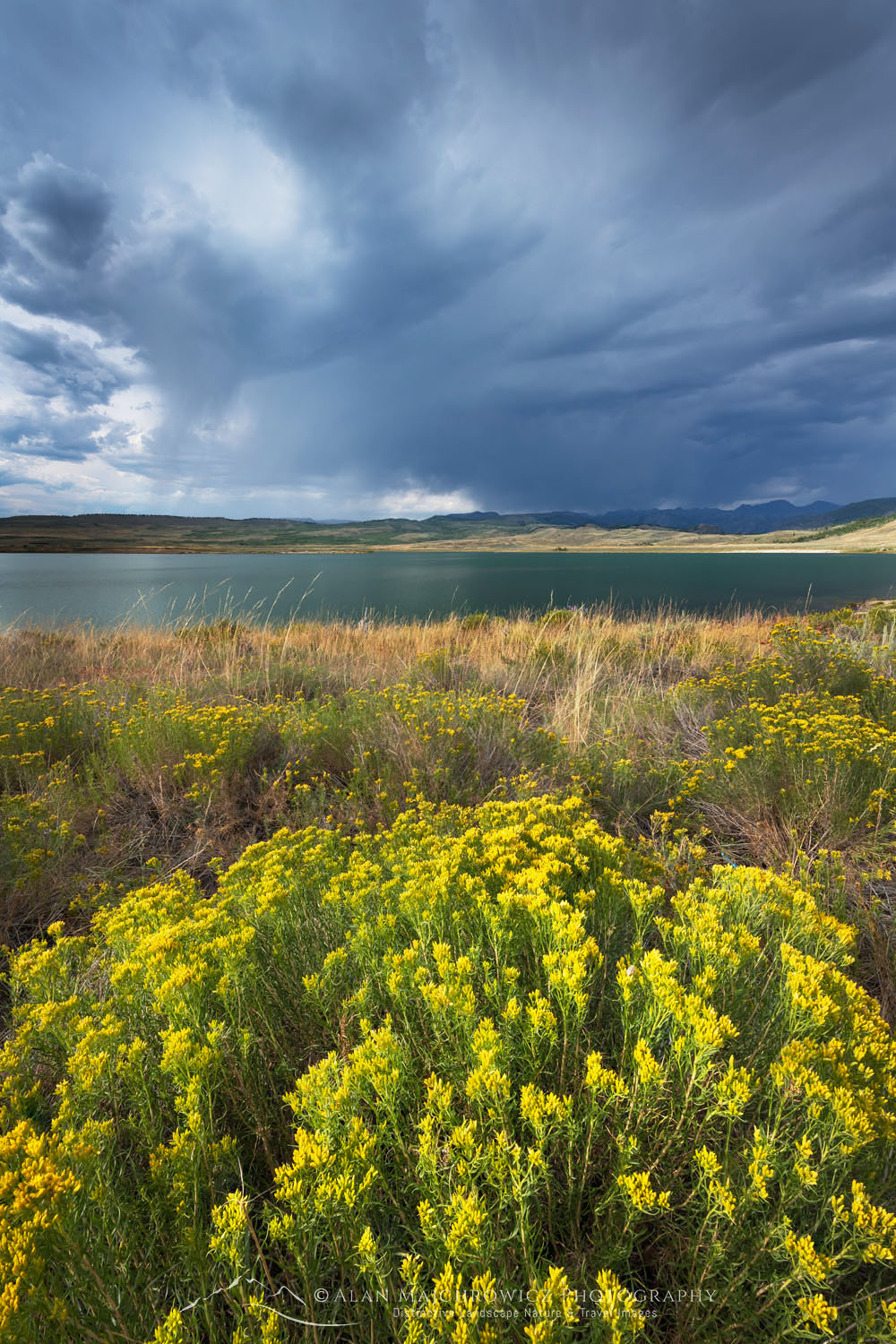 Rabbitbrush and Storm clouds over Soda Lake Wyoming #69351