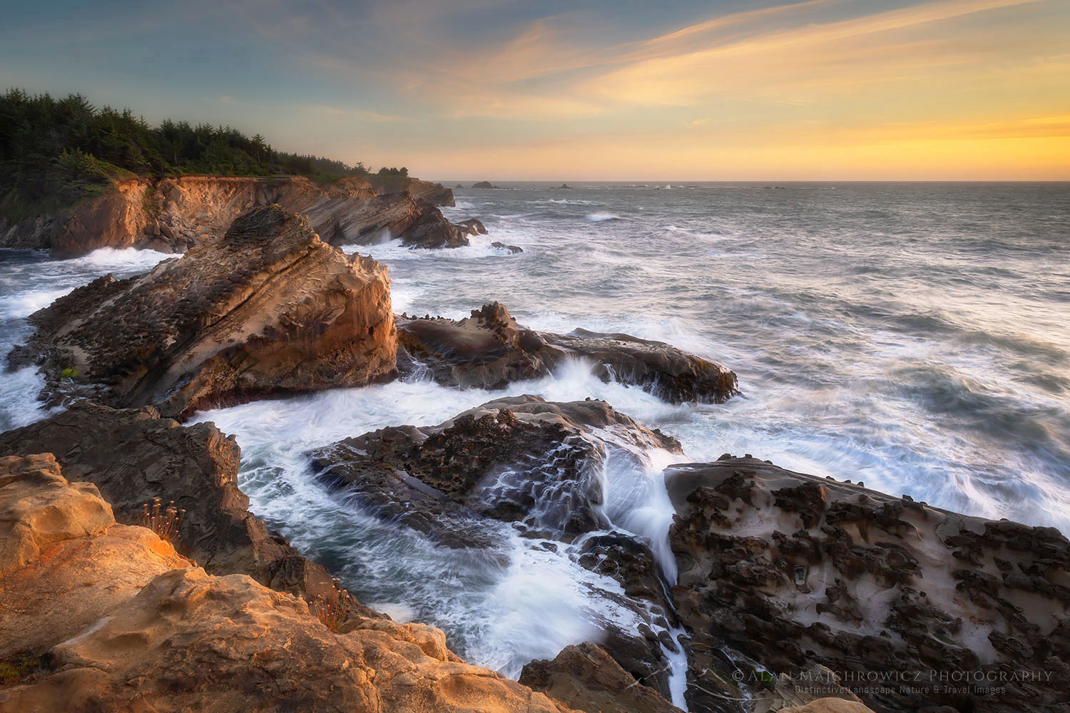 Shore Acres State Park Oregon #68501or