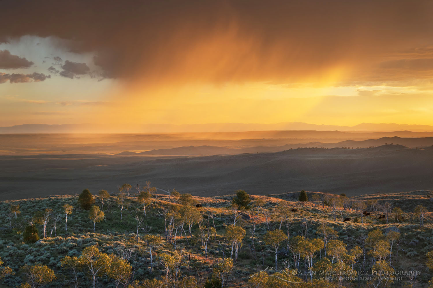Stormy sunset from Scab Creek Trailhead. Bridger-Teton National Forest Sublette County, Wyoming
