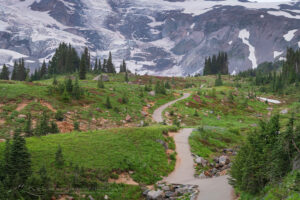 Skyline Trail Mount Rainier National Park