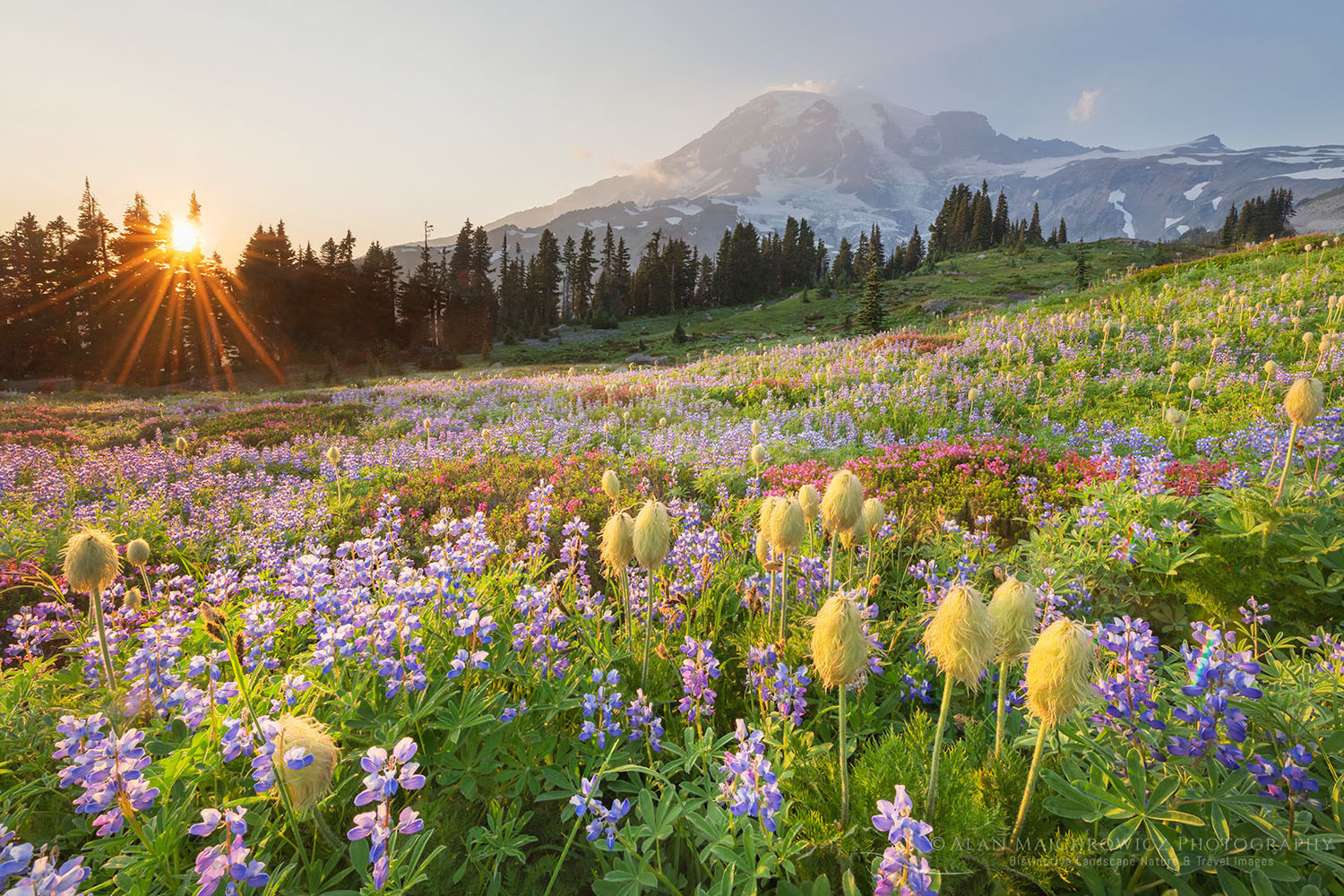 Photos: Paradise Lives Up to Name at Mount Rainier National Park