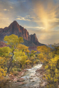 Autumn along the Virgin River, The Watchman in the distance, Zion National Park Utah