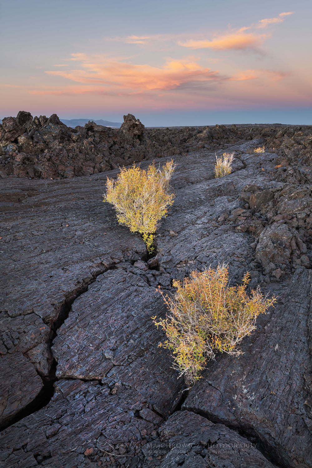 Twilight alpenglow over Blue Dragon Lava Flow, Craters of the Moon National Monument #73897