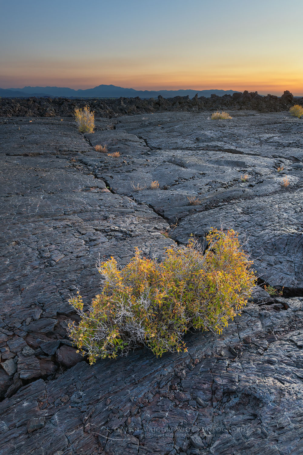 Twilight alpenglow over Blue Dragon Lava Flow, Craters of the Moon National Monument #73949