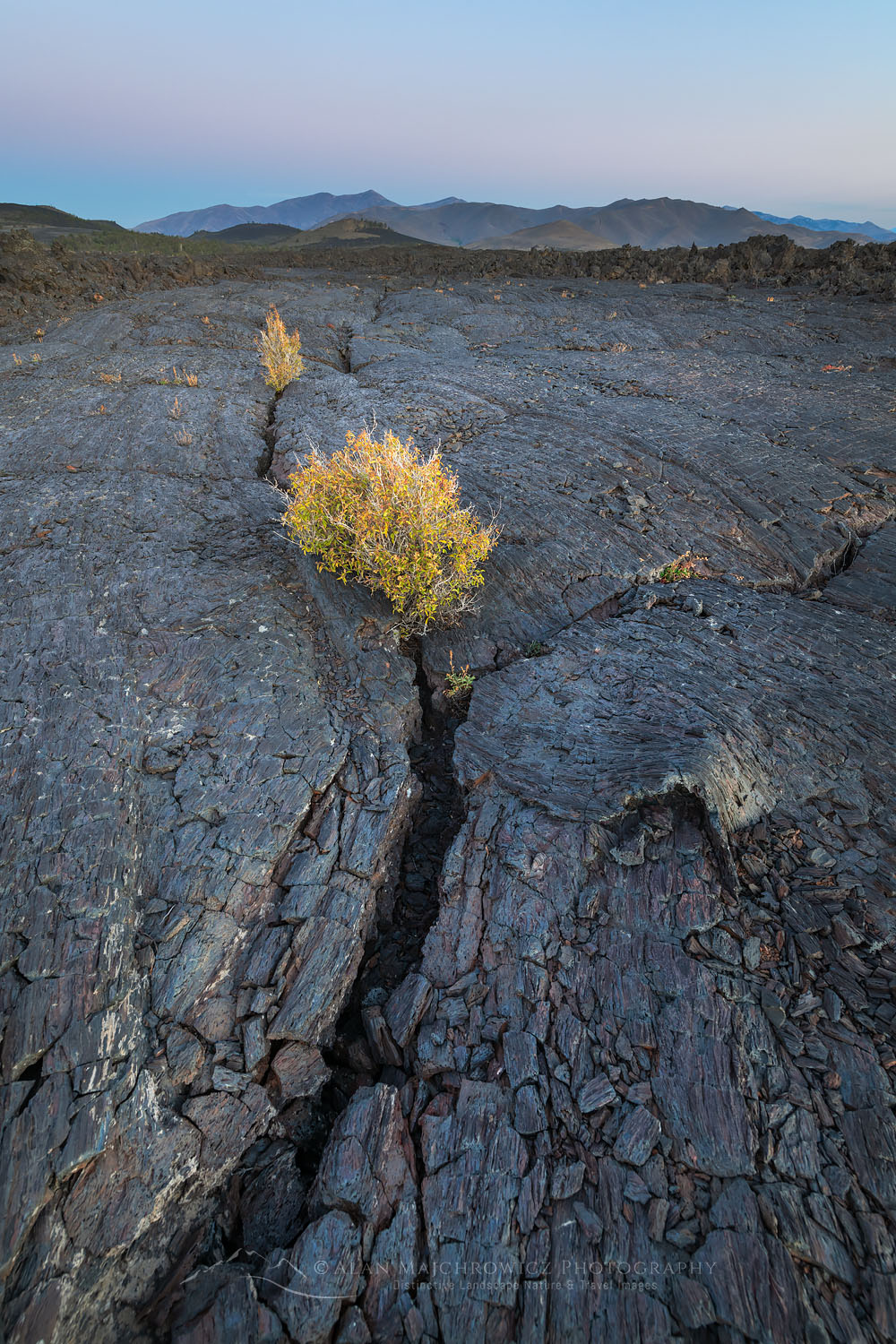 Morning twilight over Blue Dragon Lava Flow, Craters of the Moon National Monument #73954
