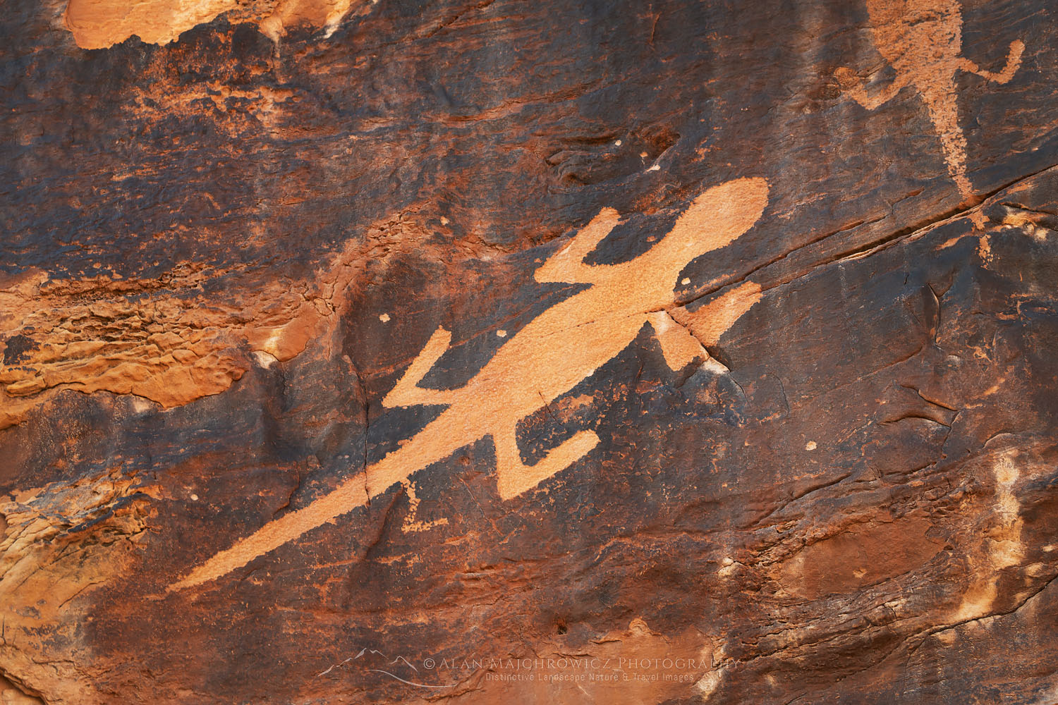 Fremont style lizard petroglyphs along Cub Creek Dinosaur National Monument #74301