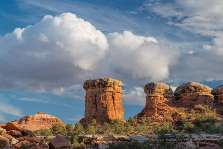 Needles District Canyonlands National Park Utah Alan Majchrowicz   Needles District Canyonlands National Park 74577 768x512 