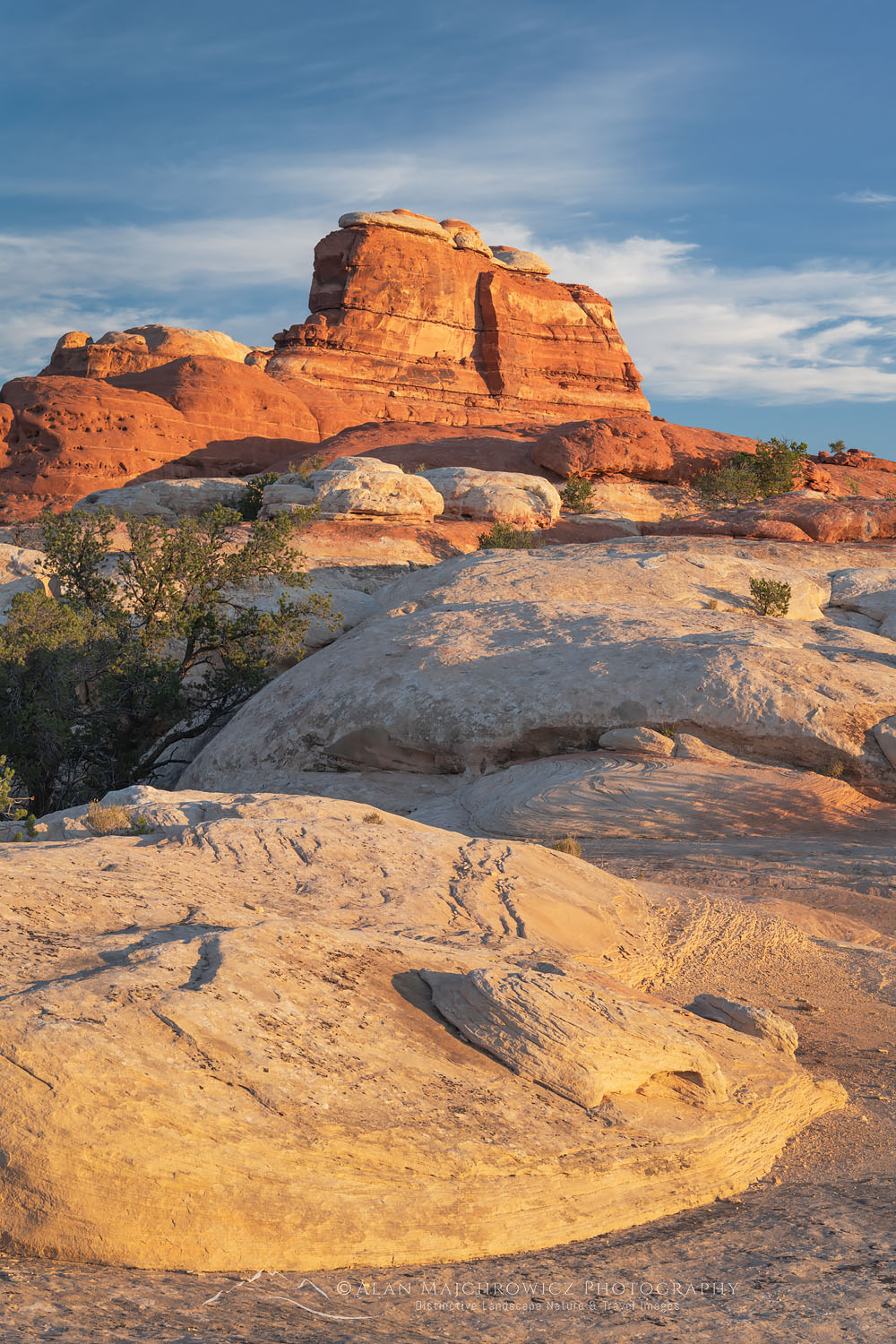 Sandstone shapes and patterns. Needles District, Canyonlands National Park Utah #74676