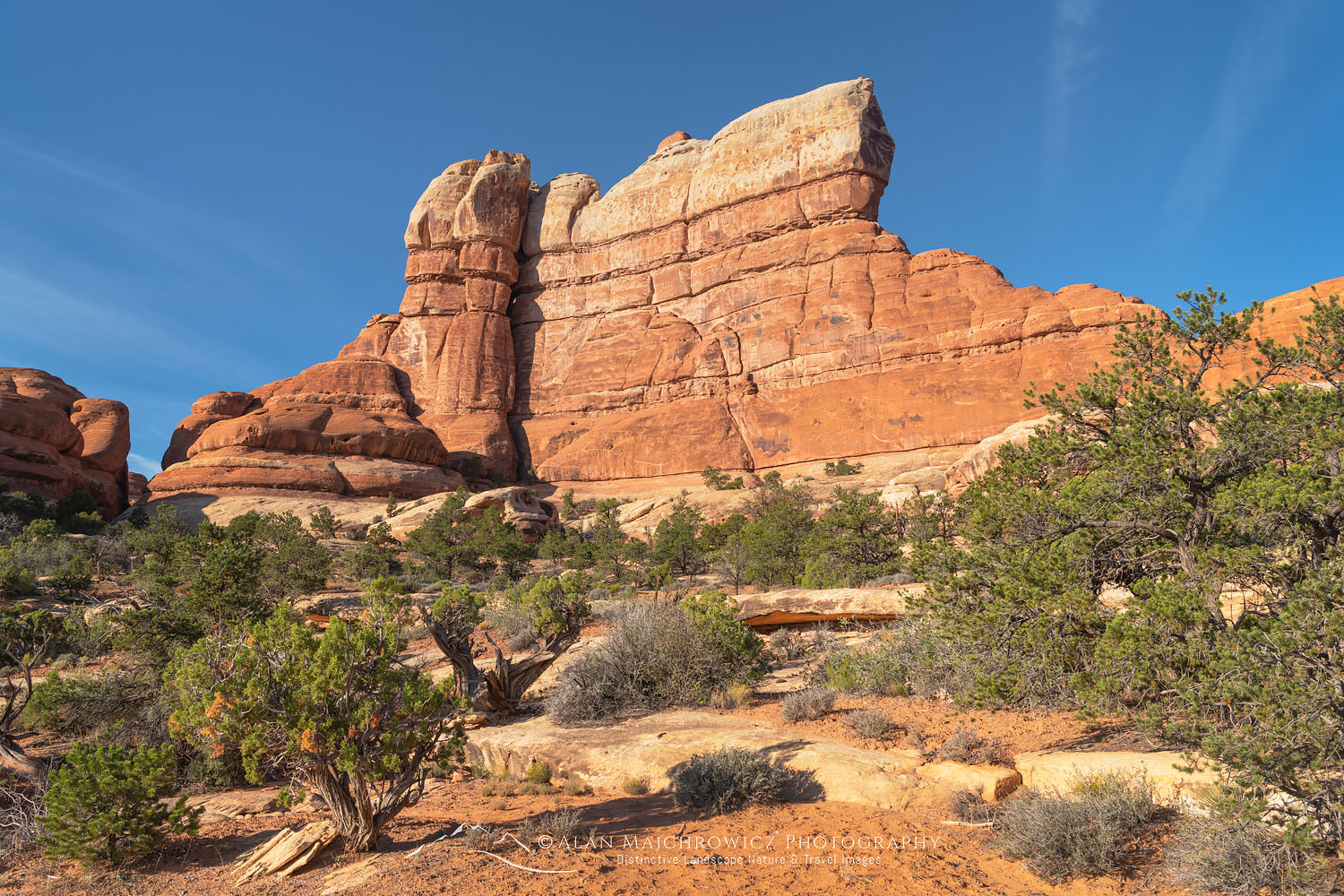 Sandstone fins The Needles, Canyonlands National Park Utah #74695