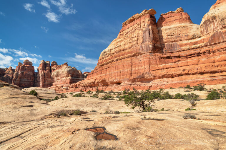 The Needles Canyonlands National Park Alan Majchrowicz Photography