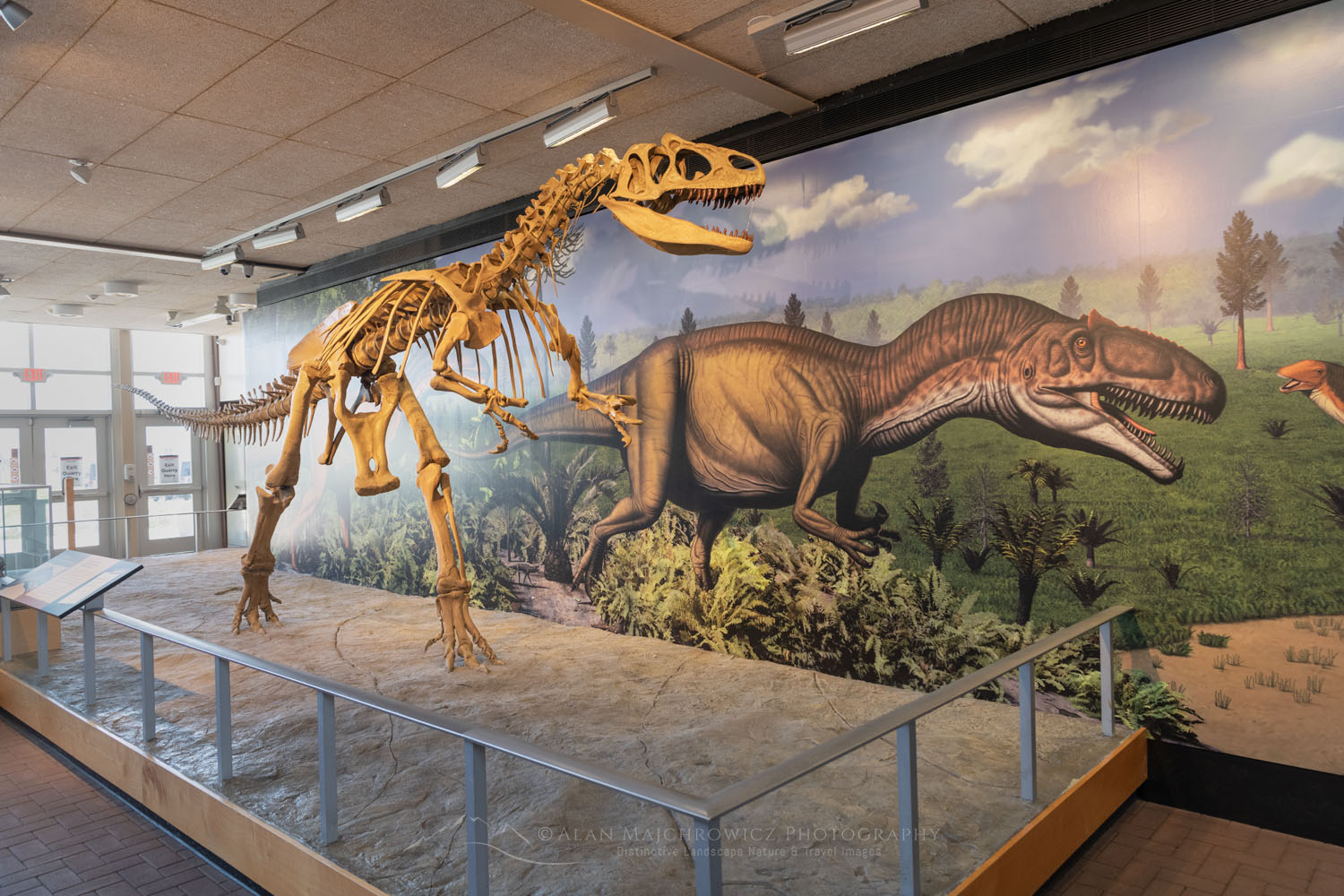 Allosaurus exhibit Quarry Exhibit Hall Dinosaur National Monumen