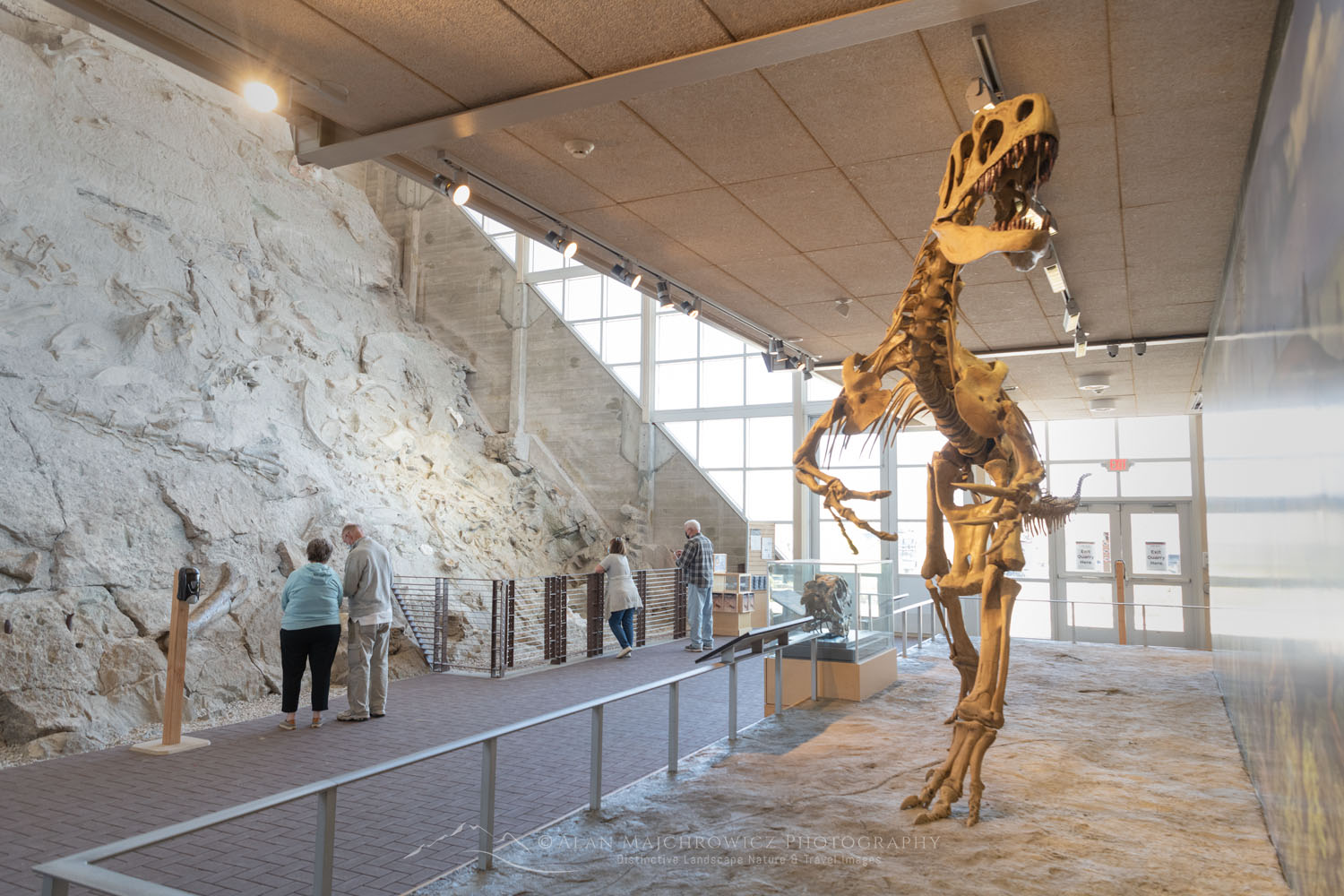 Quarry Exhibit Hall Dinosaur National Monument Utah #74288