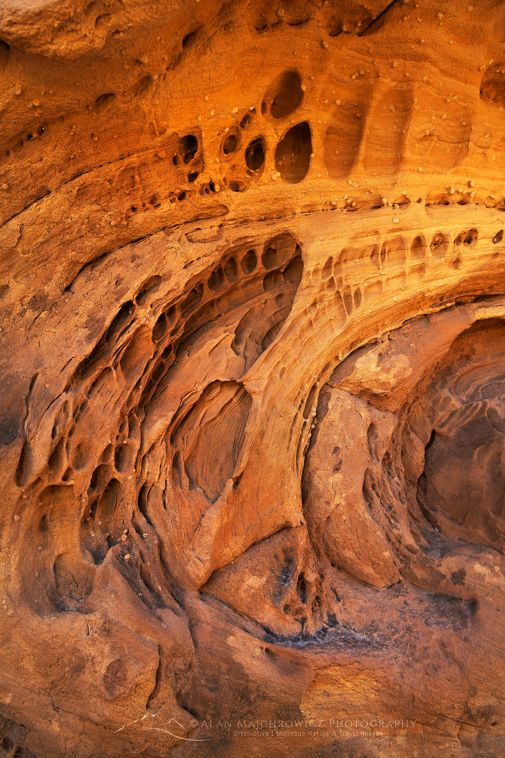 Sandstone patterns Dinosaur National Monument