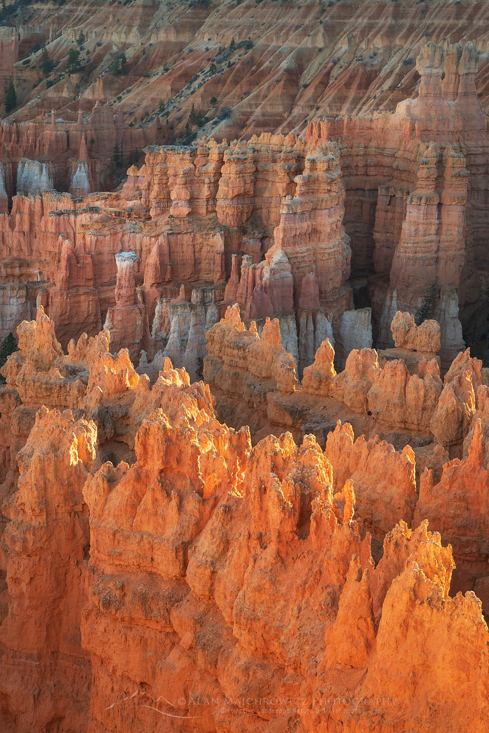 View of colorful hoodoos of the Silent City seen from Sunrise Point, Bryce Canyon National Park, Utah #76432