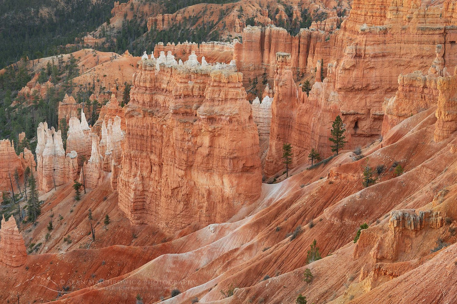 View of colorful hoodoos of the Silent City seen from Sunrise Point, Bryce Canyon National Park, Utah #76434