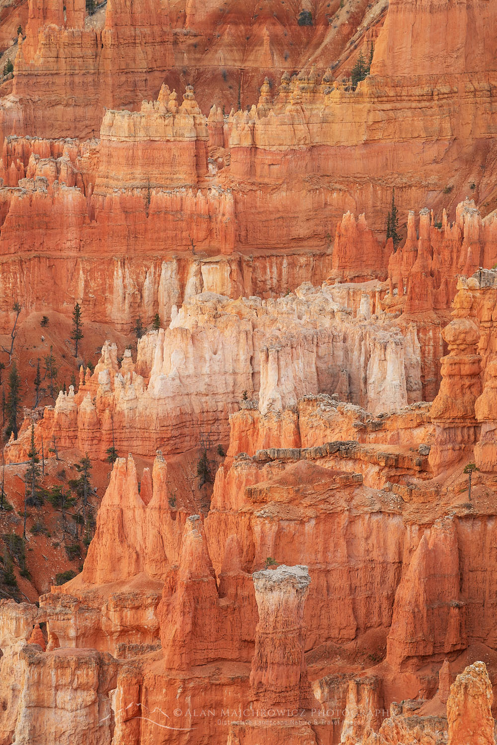 View of colorful hoodoos of the Silent City seen from Sunrise Point, Bryce Canyon National Park, Utah #76438