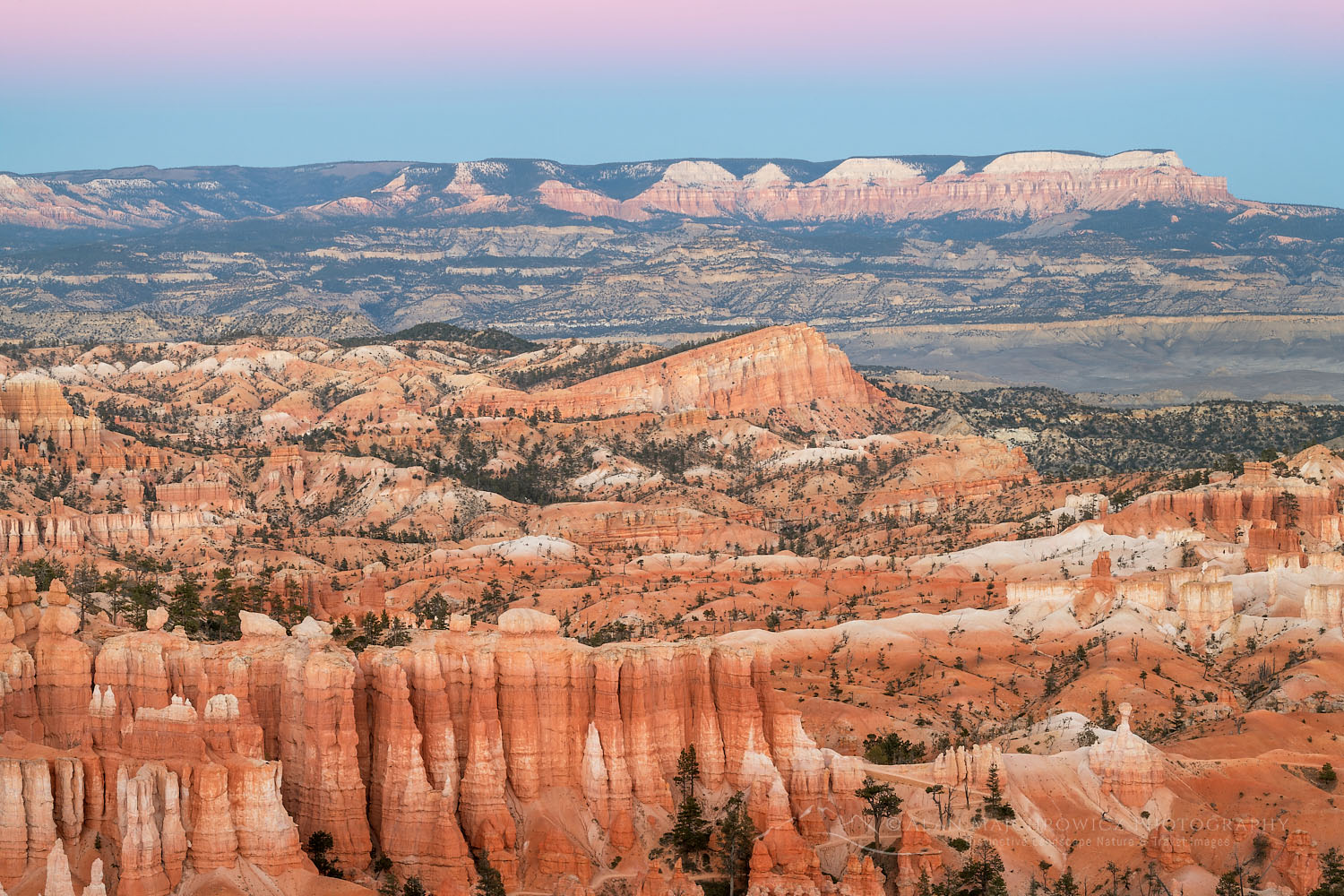 Colorful twilight afterglow and hoodoos seen from Sunrise Point, Bryce Canyon National Park, Utah #76446