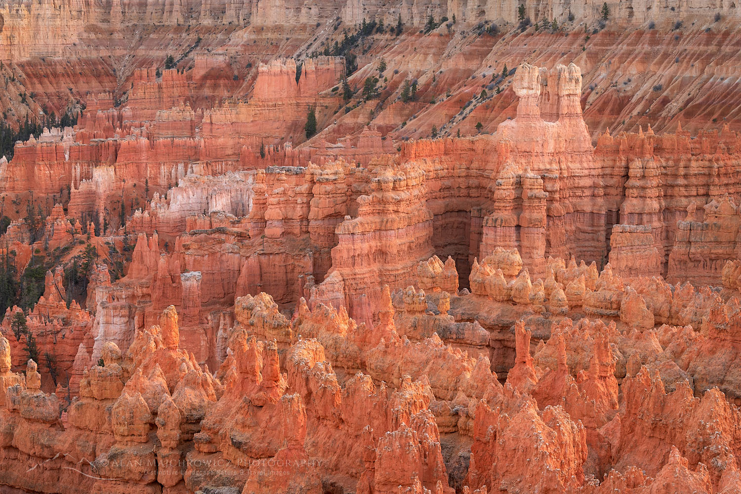 Colorful hoodoos seen from Sunrise Point, Bryce Canyon National Park, Utah #76452