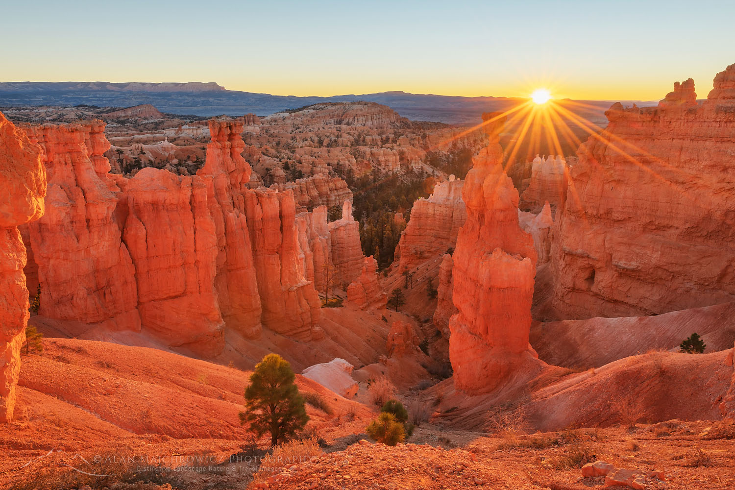 Sunrise view of Thor's Hammer and colorful hoodoos seen from below the canyon rim at Sunrise Point, Bryce Canyon National Park, Utah #76478