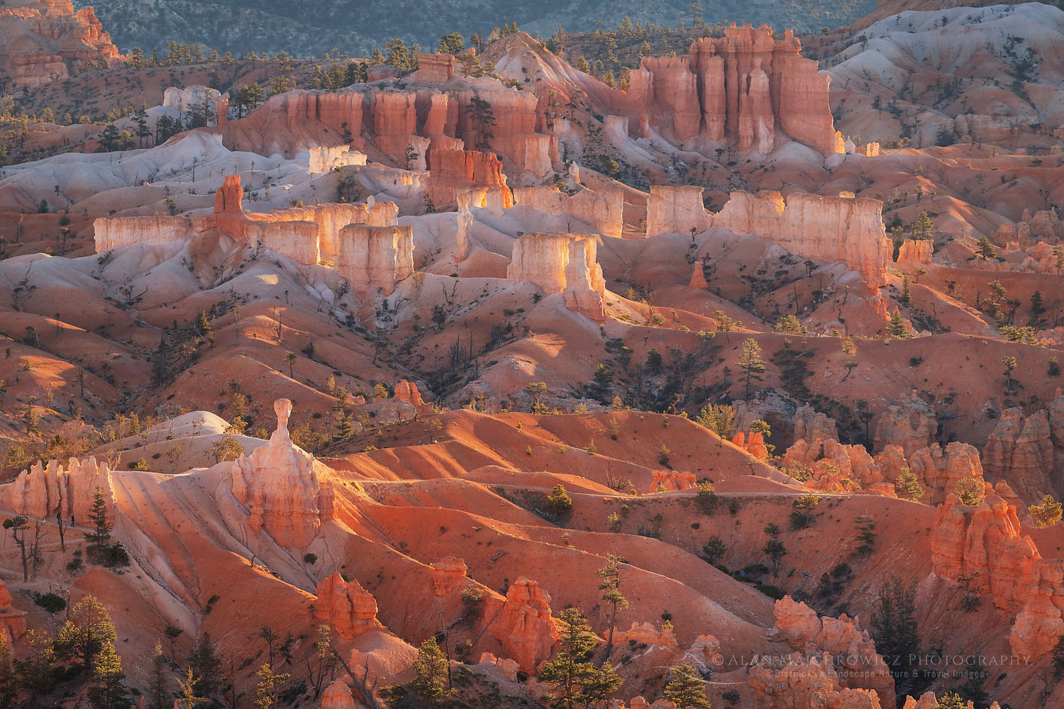 Colorful hoodoos glowing in morning light, seen from Sunrise Point, Bryce Canyon National Park, Utah #76520