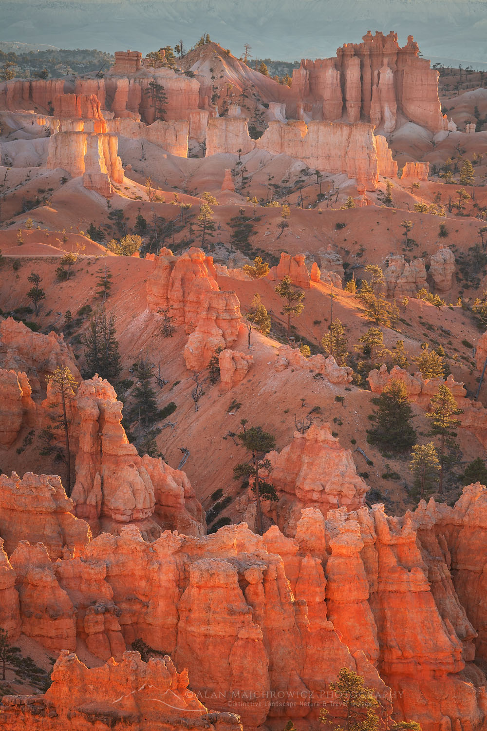 Colorful hoodoos glowing in morning light, seen from Sunrise Point, Bryce Canyon National Park, Utah #76522