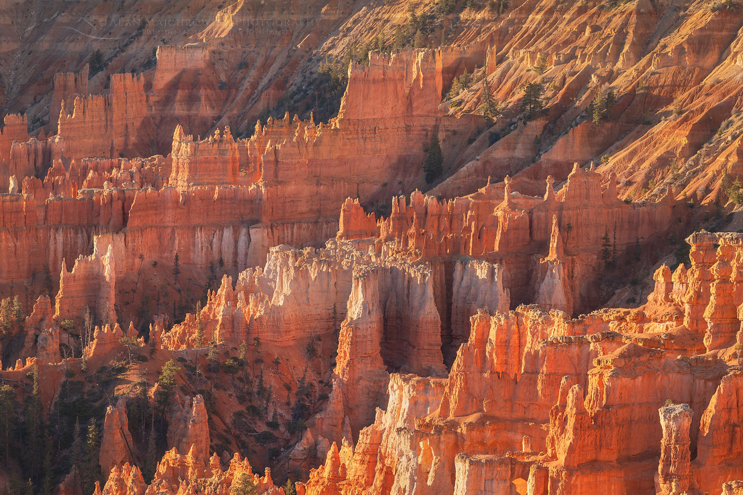 Colorful hoodoos glowing in morning light, seen from Sunrise Point, Bryce Canyon National Park, Utah #76540