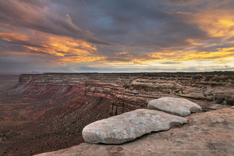 Cedar Mesa Bears Ears National Monument - Alan Majchrowicz Photography