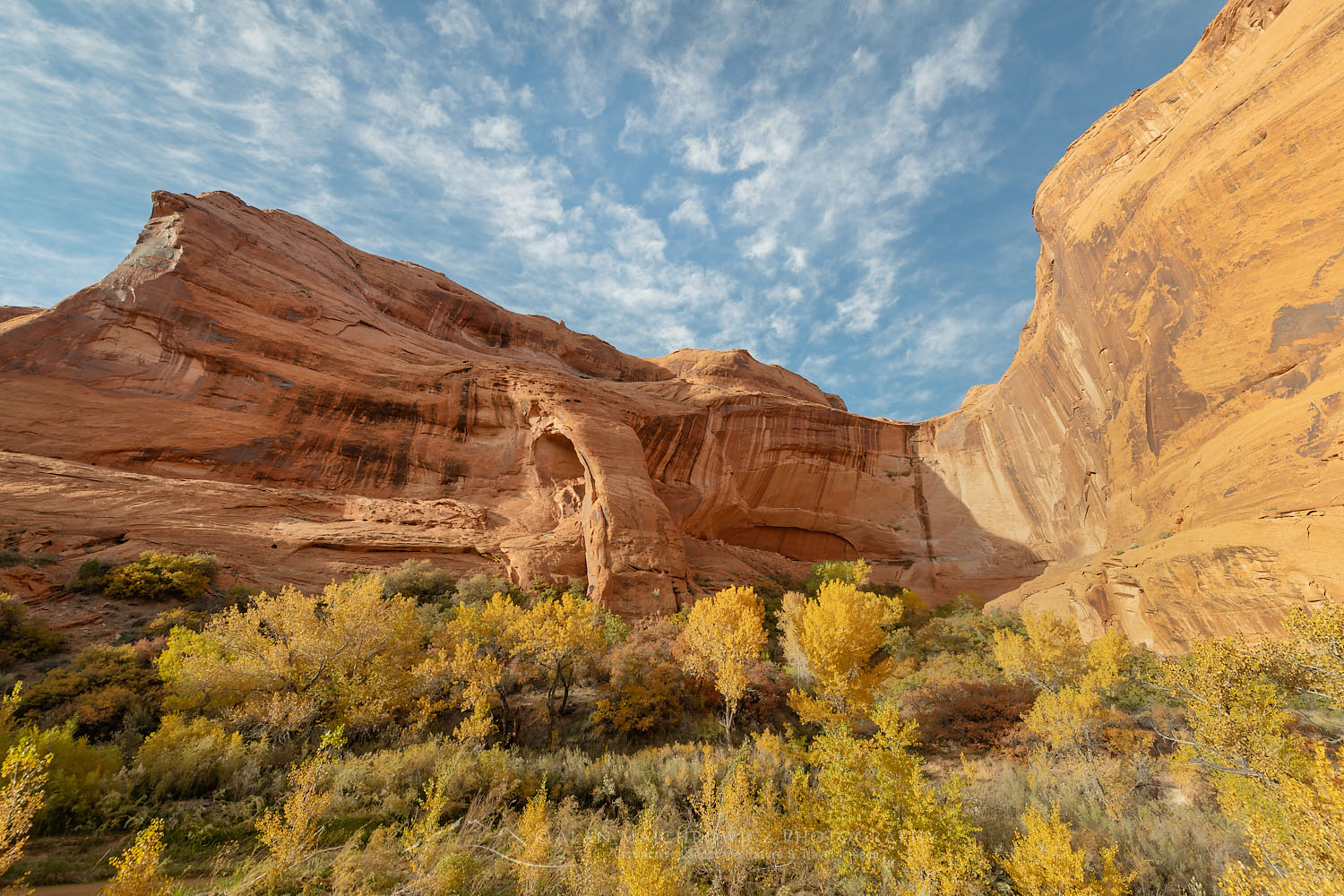 Cliff Arch in Coyote Gulch, Glen Canyon National Recreation Area Utah #76201