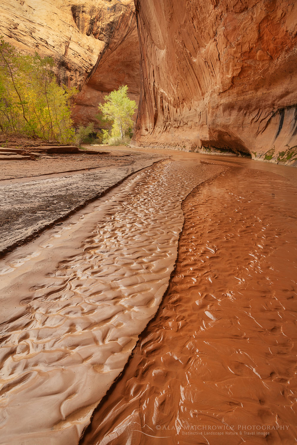 Sand and mud patterns in stream, Coyote Gulch Glen Canyon National Recreation Area Utah #75985
